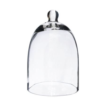mini-glass-dome-